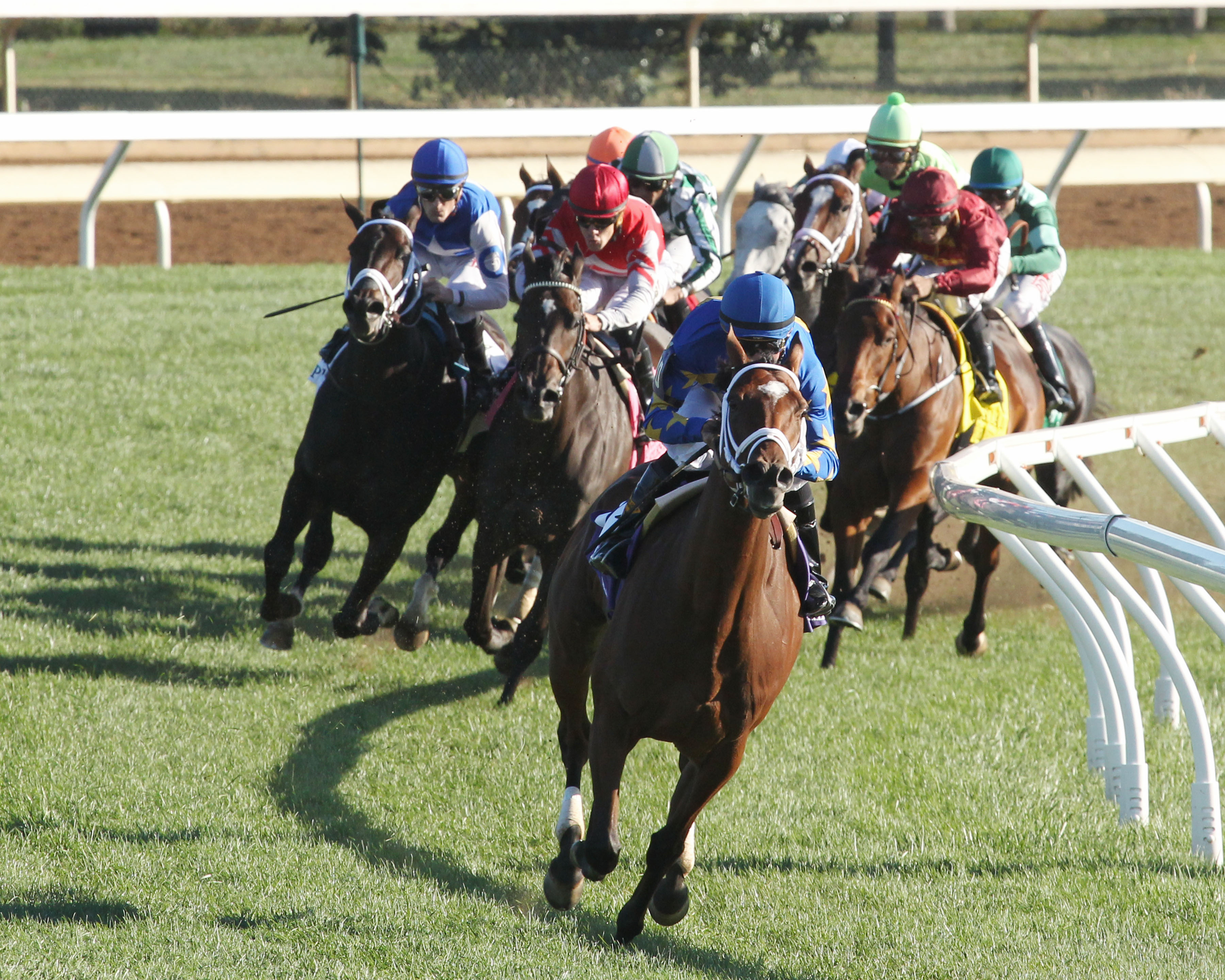 Photo Call upsets Tepin