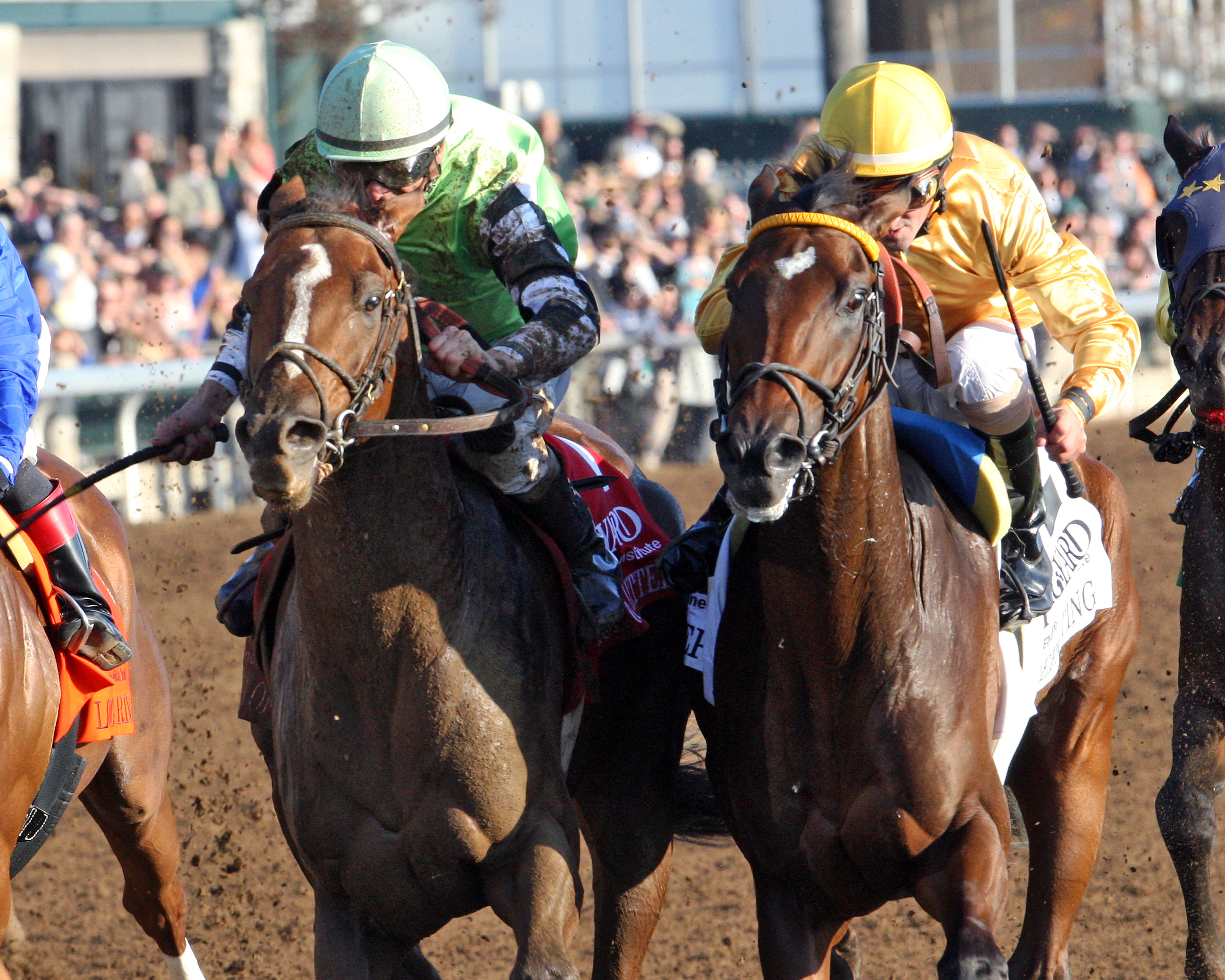 Pick of the Litter wins 2014 Fayette