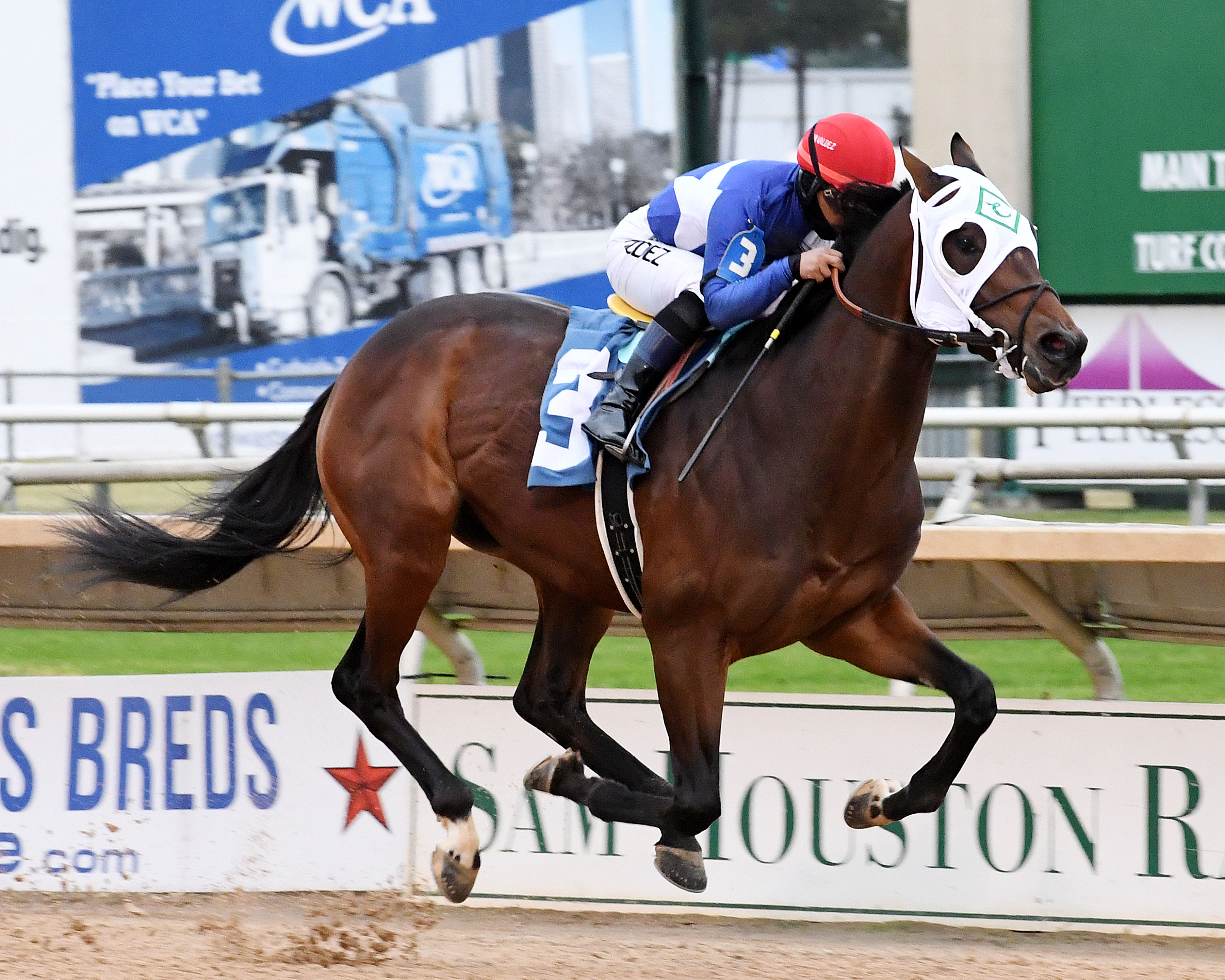 Pinky Ring Bling/Texas Stallion Stakes