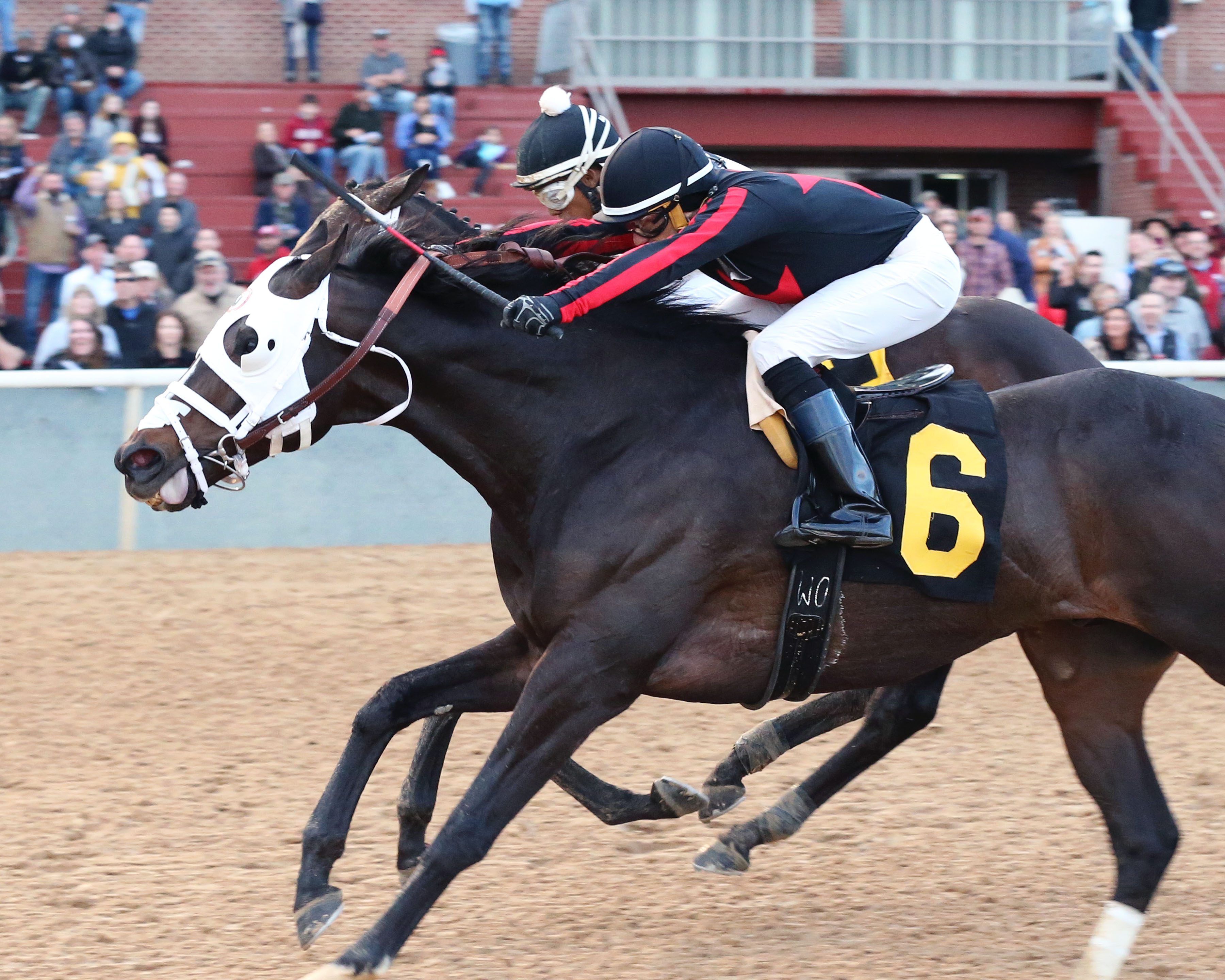 Pioneer Spirit wins the second division of the 2020 Fifth Season Stakes