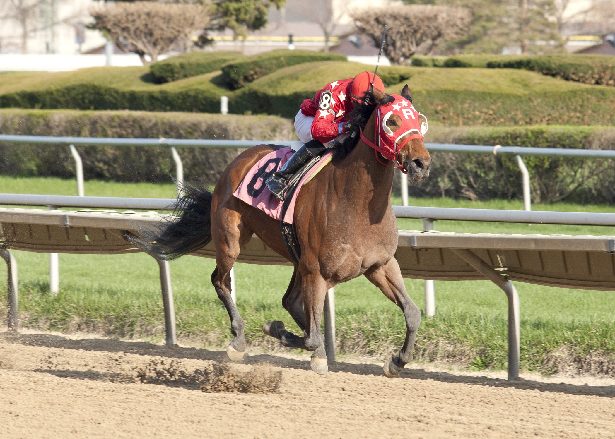 Pistols Drawn wins 2014 Pretty Jenny