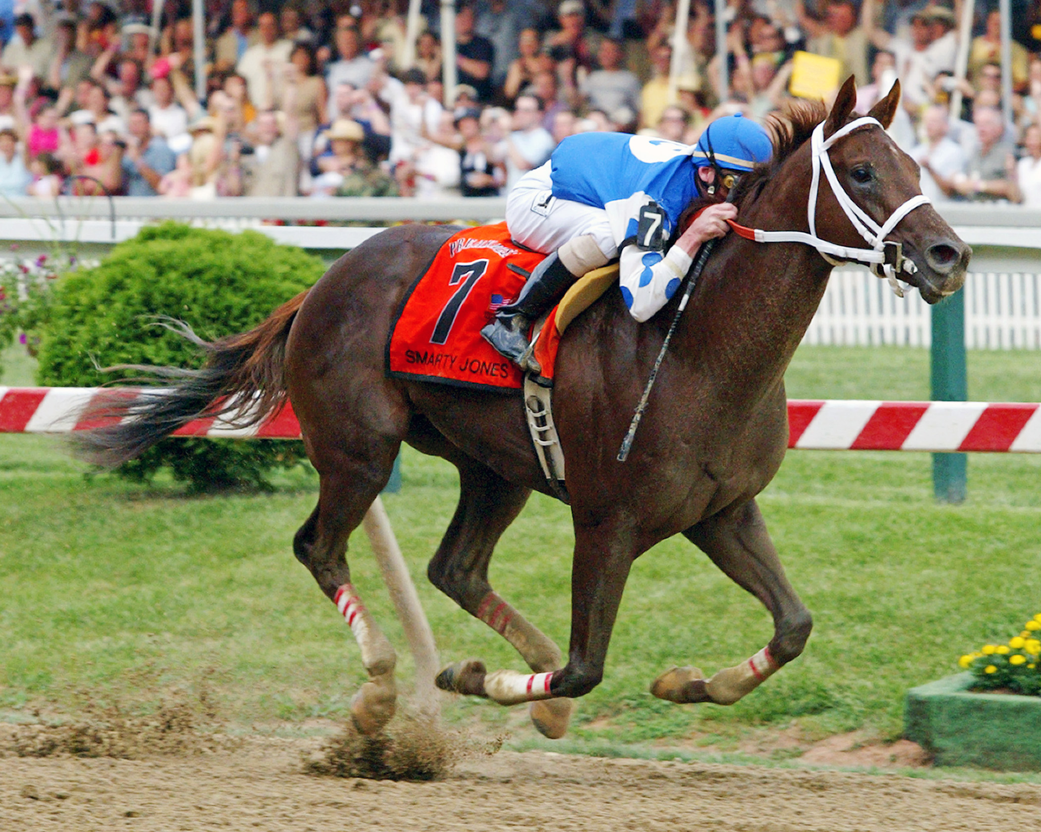 Smarty Jones wins the 2004 Preakness