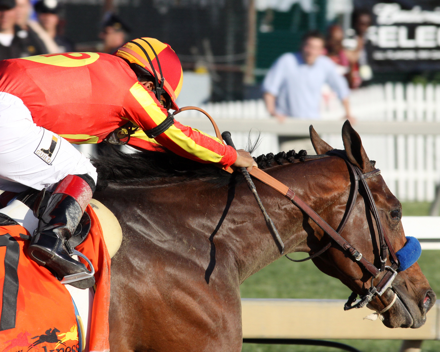 Lookin At Lucky - Eclipse Awards