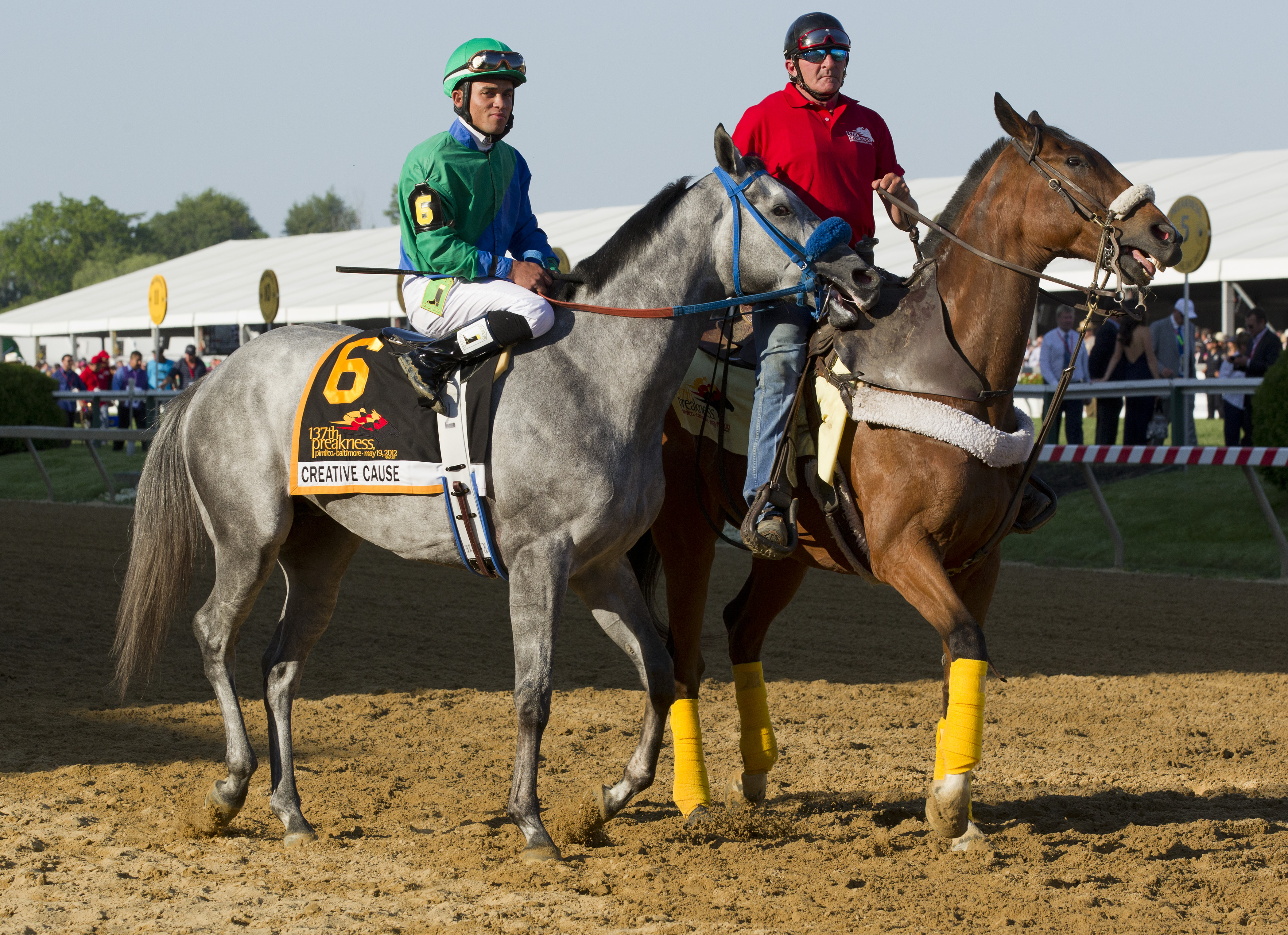 Preakness Stakes: Rosario back on top of his game