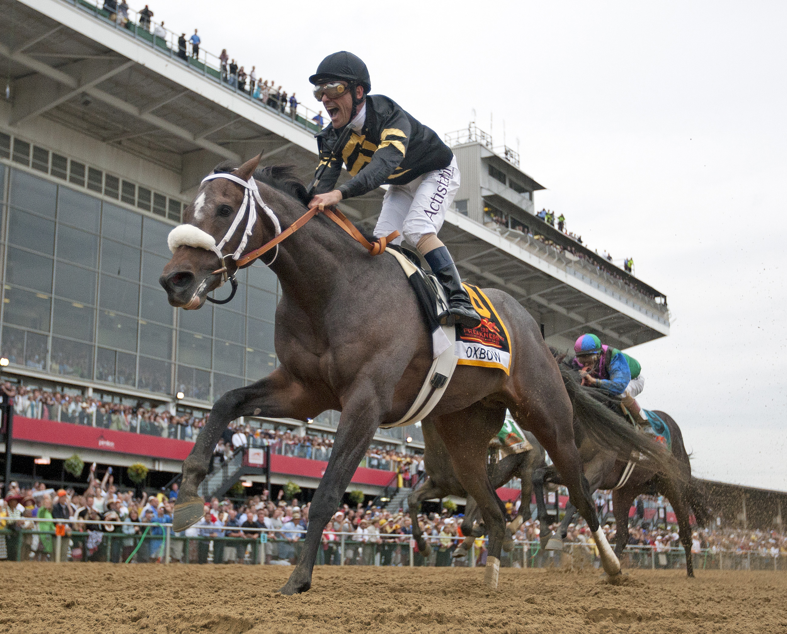 Gary Stevens reacts after winning the Preakness