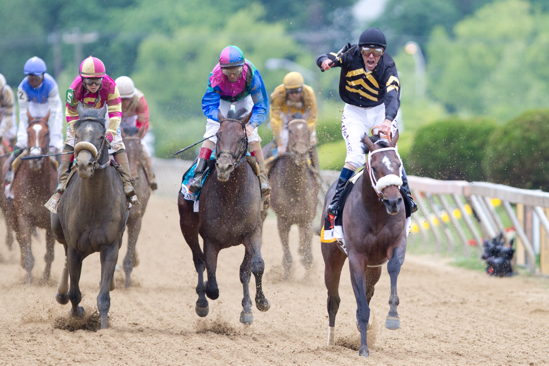 Oxbow, Preakness, head-on