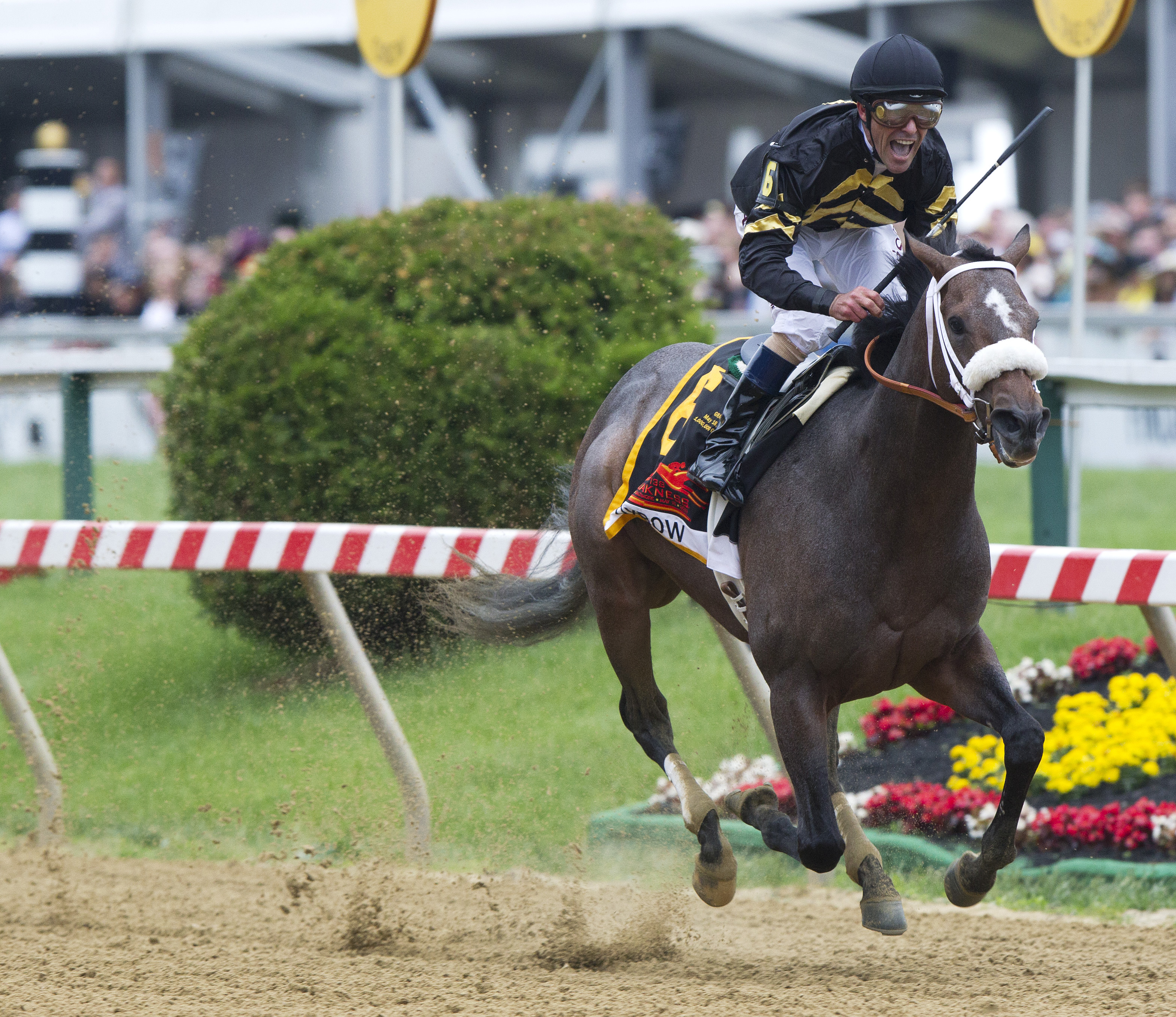Dick Jerardi: Here's hoping the Belmont Stakes pace will be easier to figure
