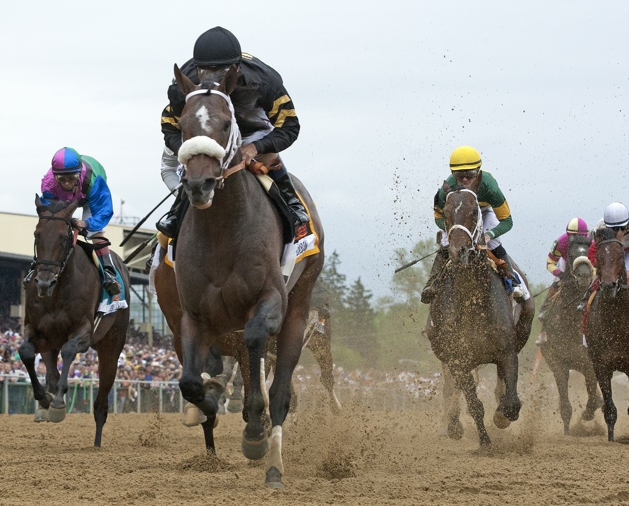Oxbow wins the Preakness