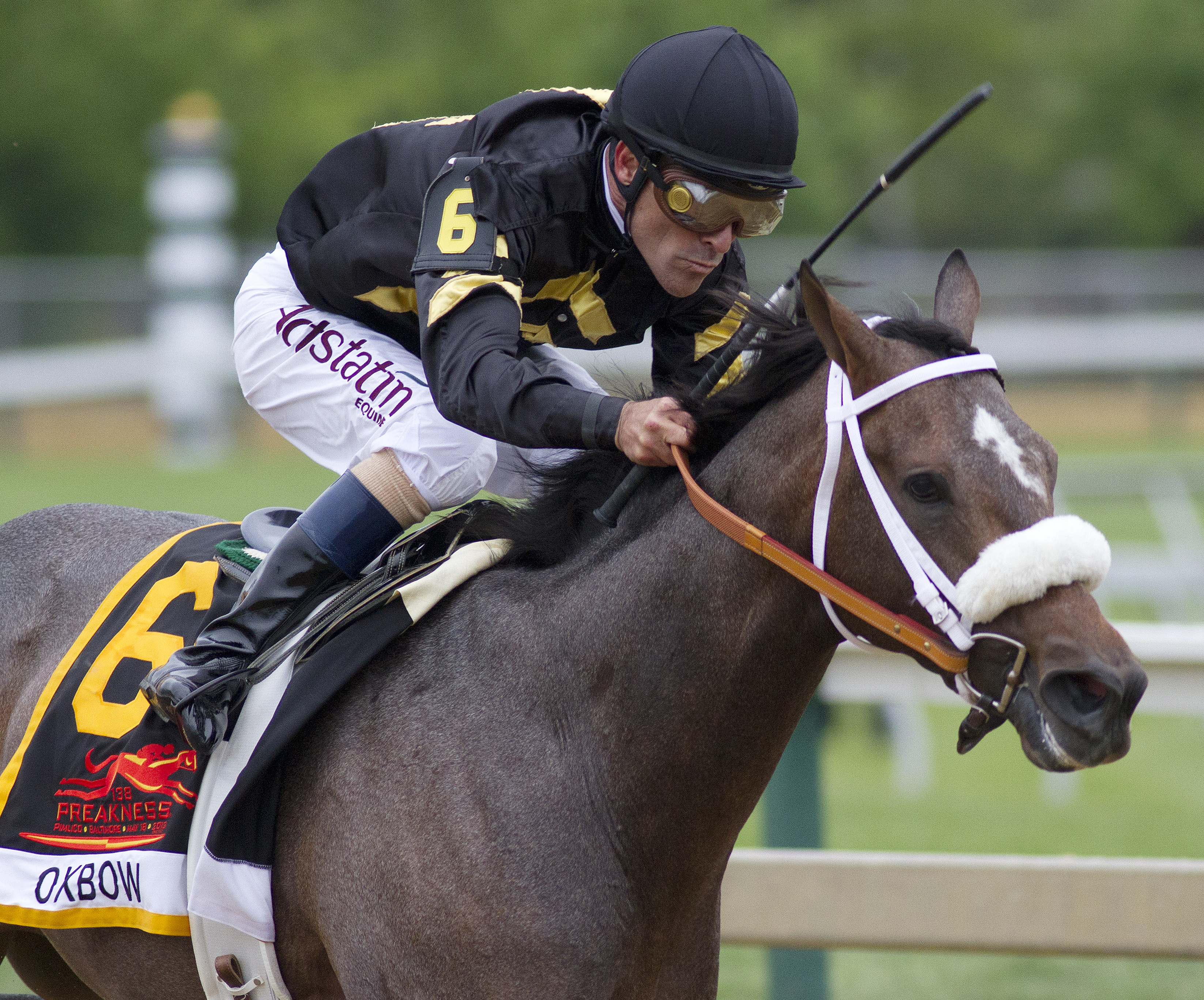 Oxbow, Preakness