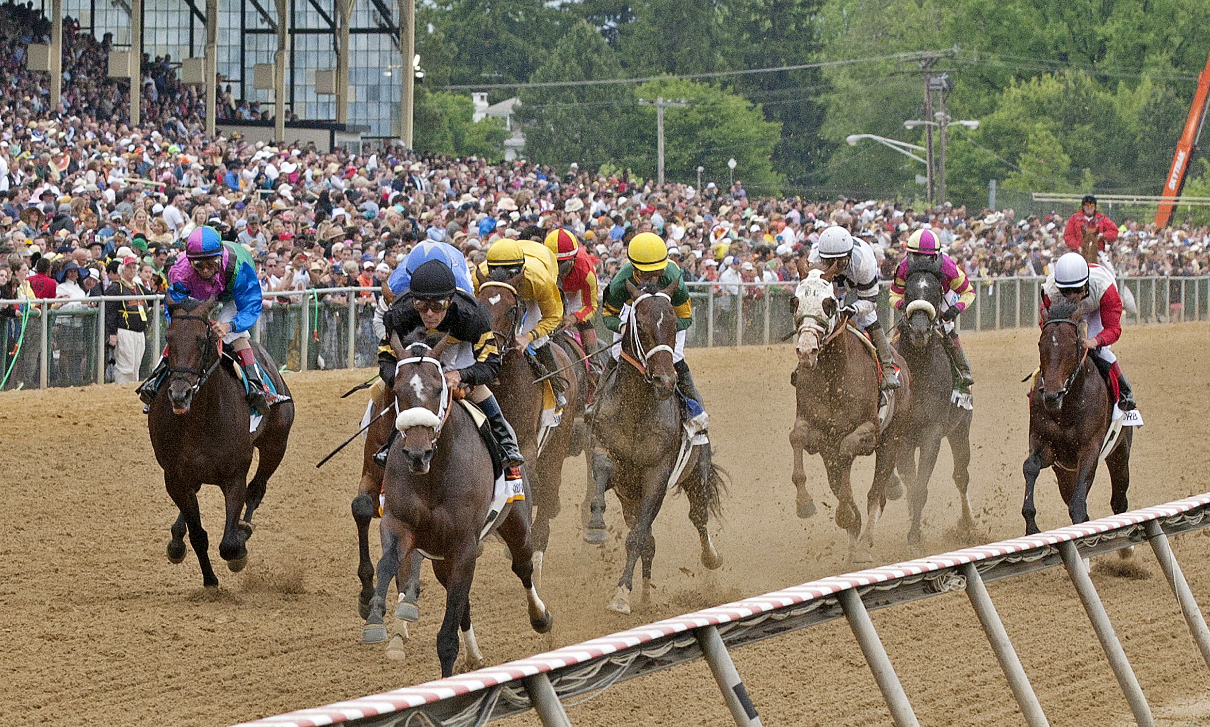Oxbow, Orb, Preakness, crowd