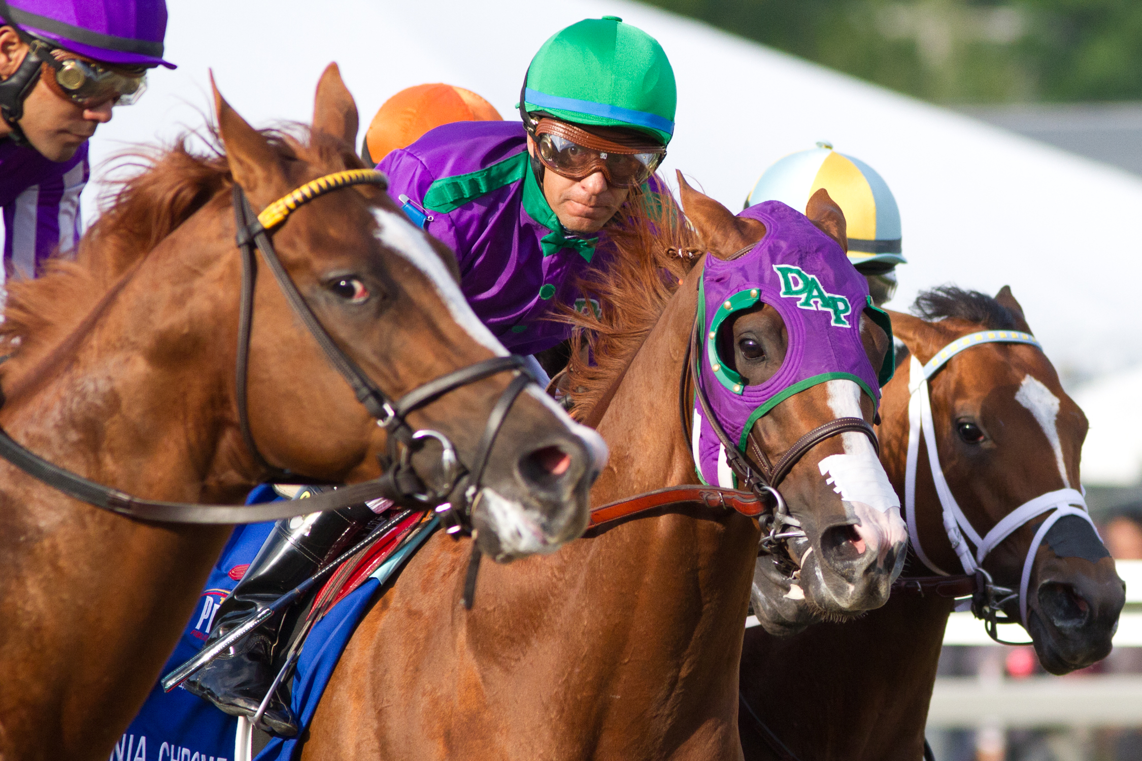 California Chrome early in the Preakness