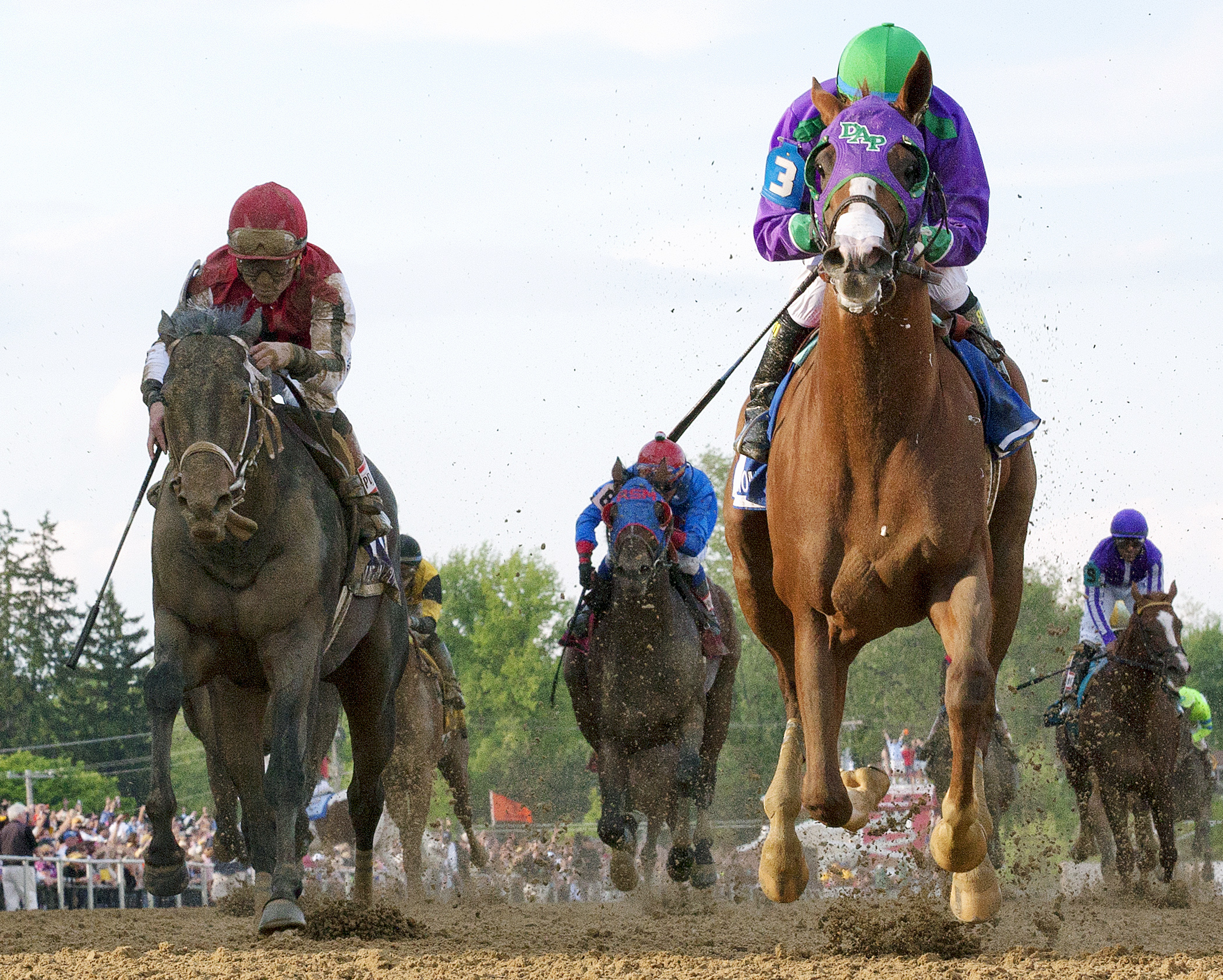 California Chrome wins the Preakness