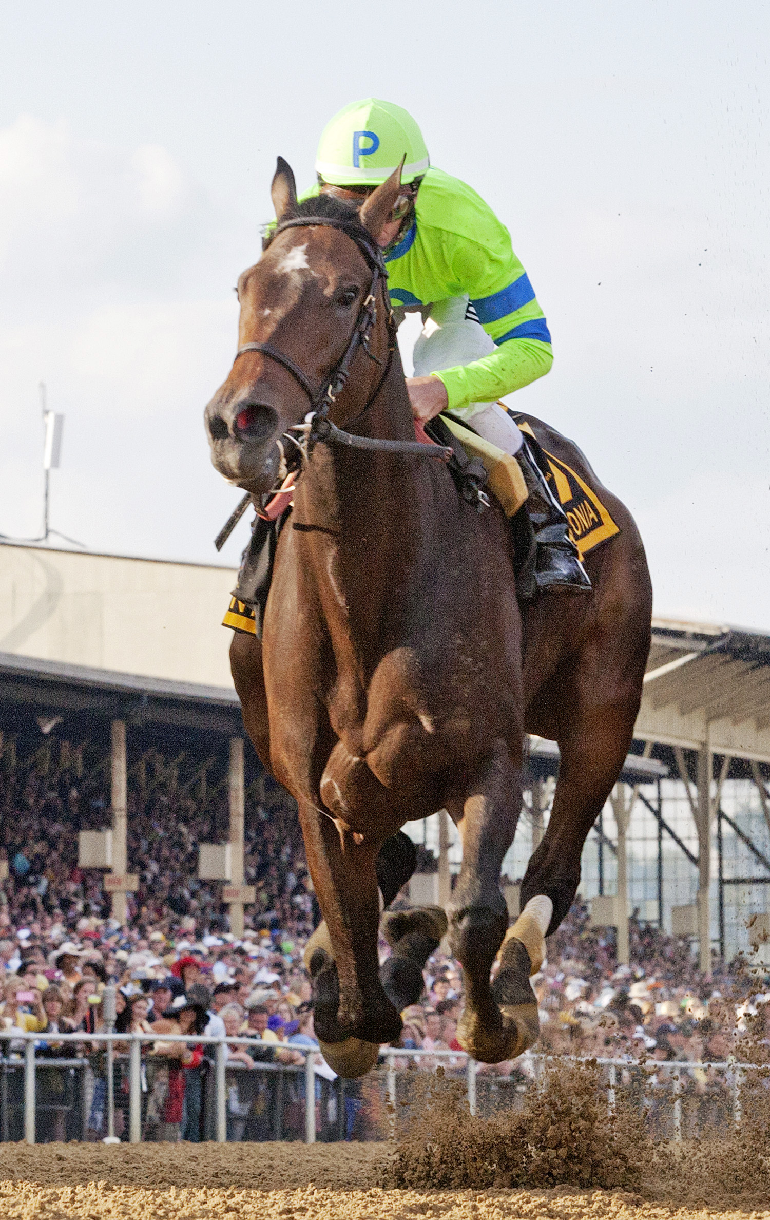 Ria Antonia finishes last in the Preakness