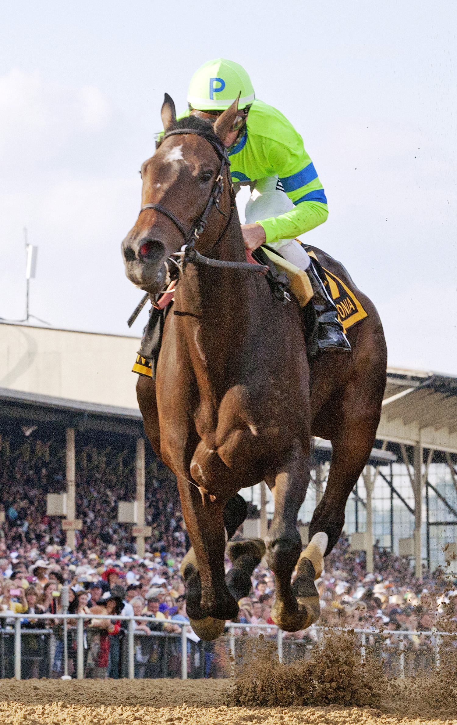 Ria Antonia finishes last in the Preakness