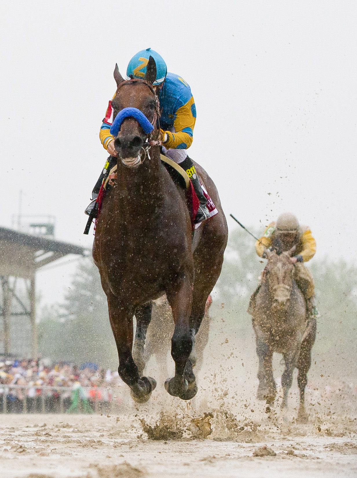American Pharoah wins the Preakness