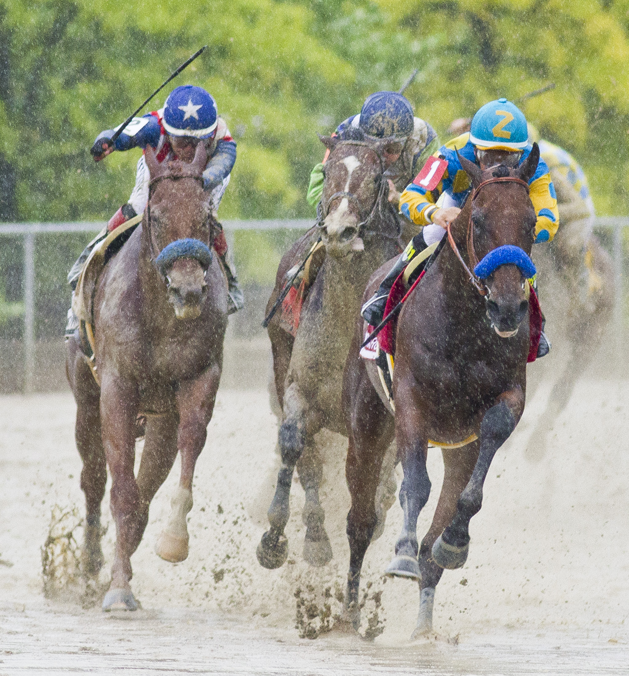American Pharoah/Preakness