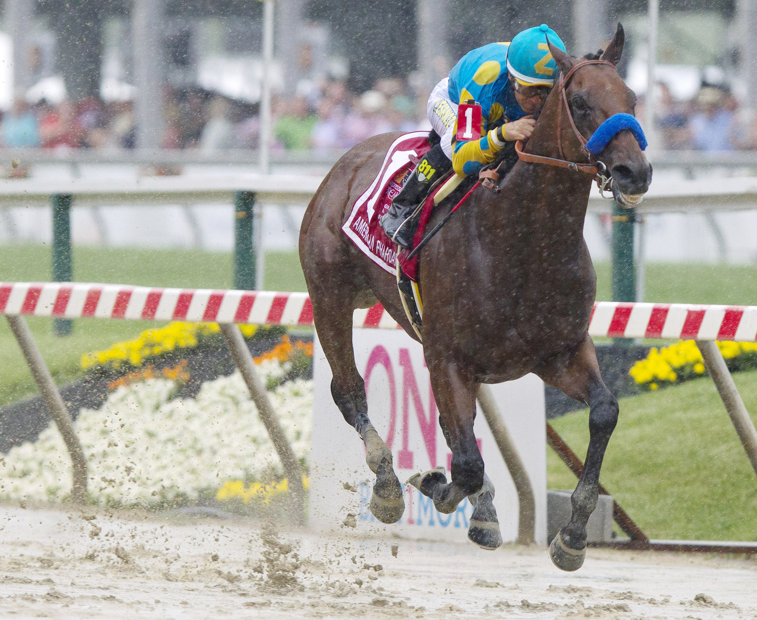 American Pharoah wins the Preakness