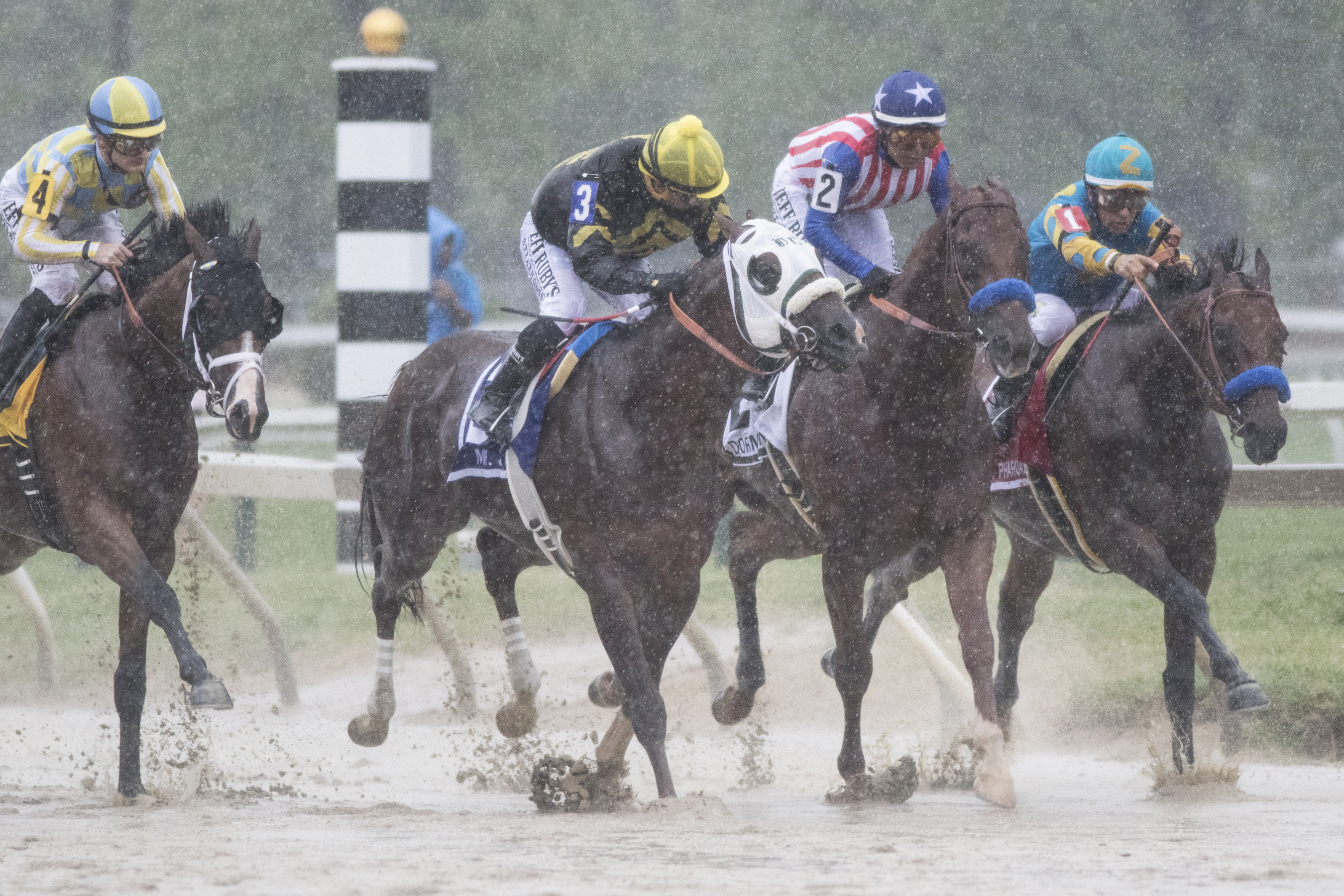 Dortmund at the start of the Preakness