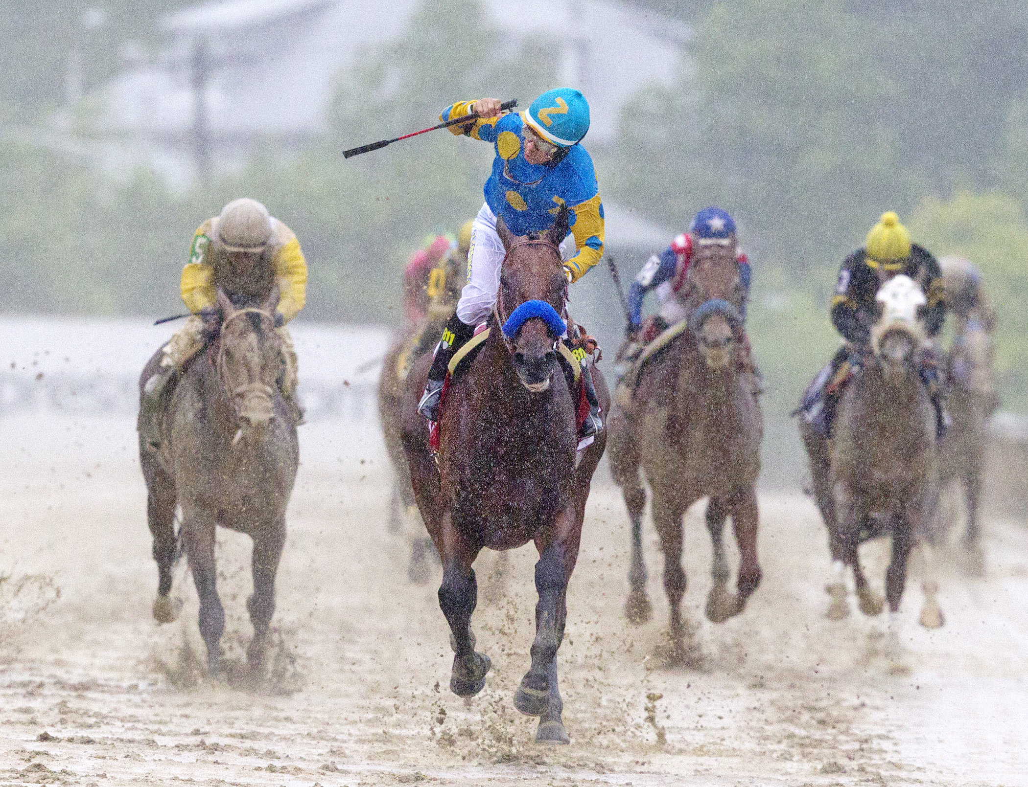 American Pharoah Preakness