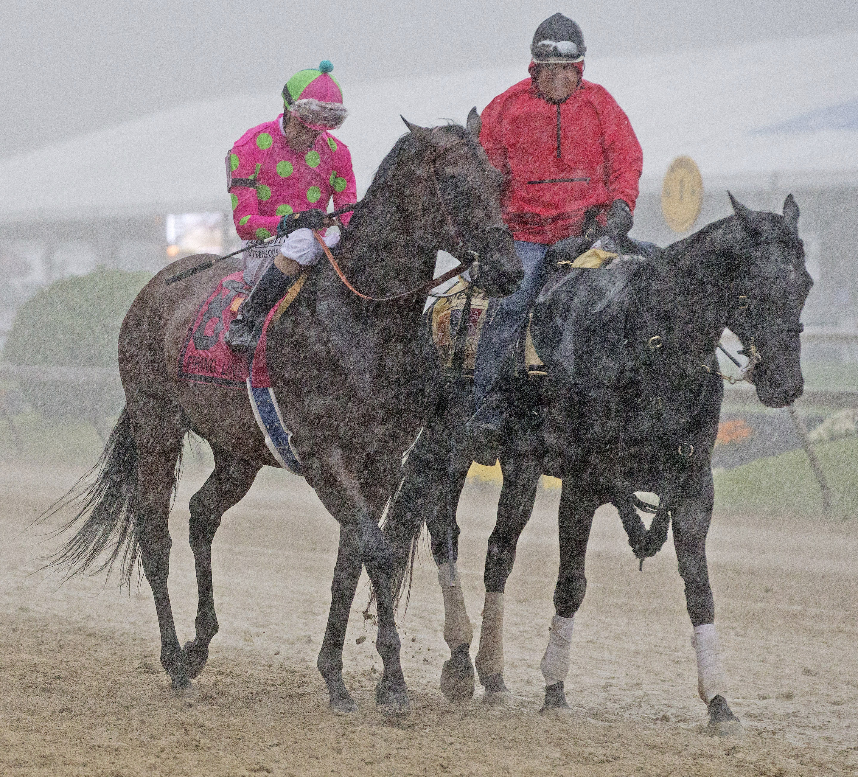 Rain during Preakness post parade - Firing Line
