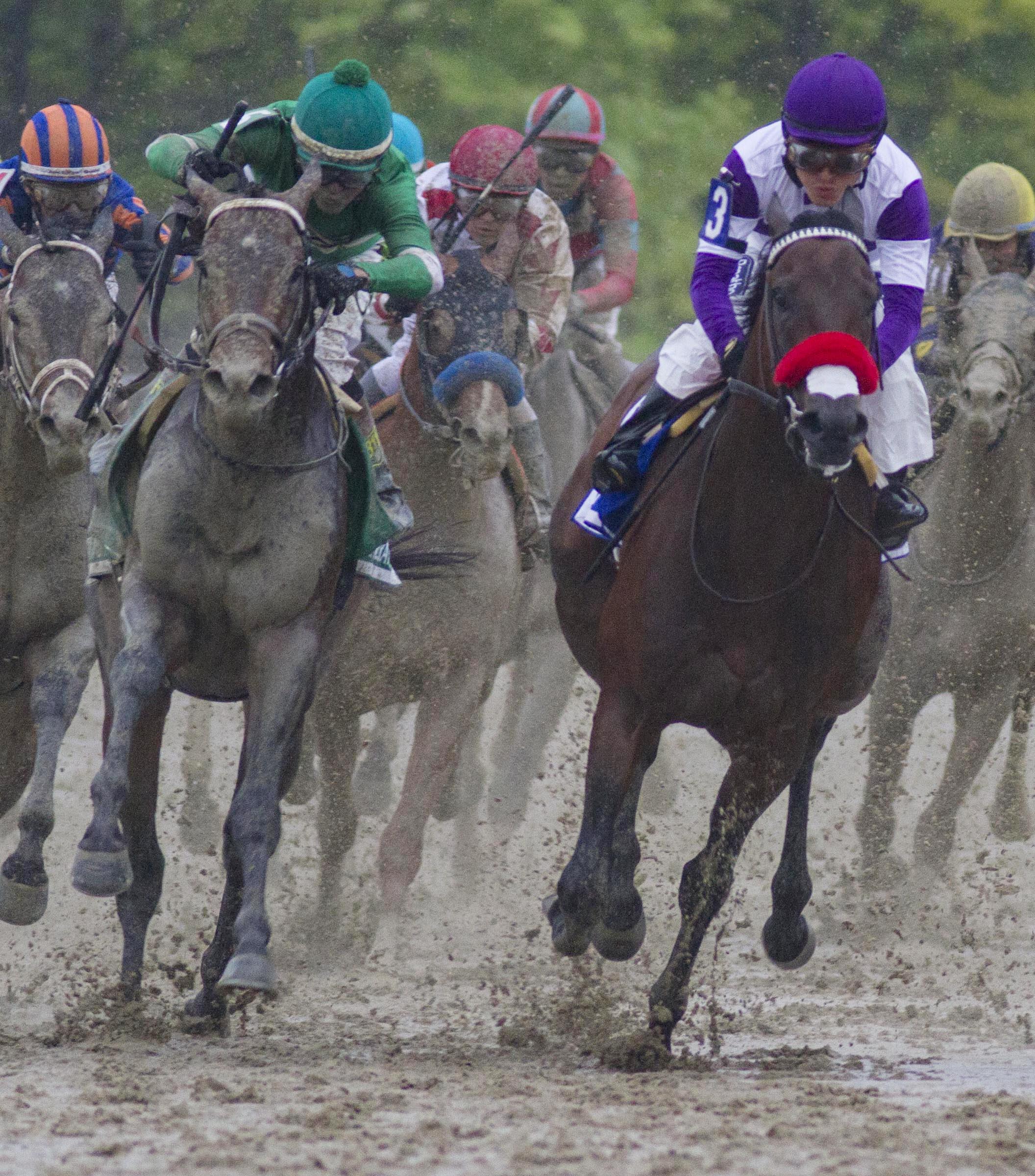 Exaggerator and Nyquist round the final turn of the Preakness