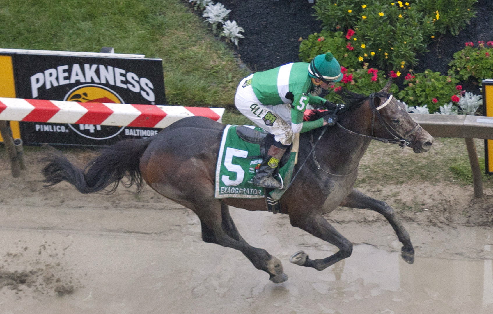 Exaggerator wins the Preakness