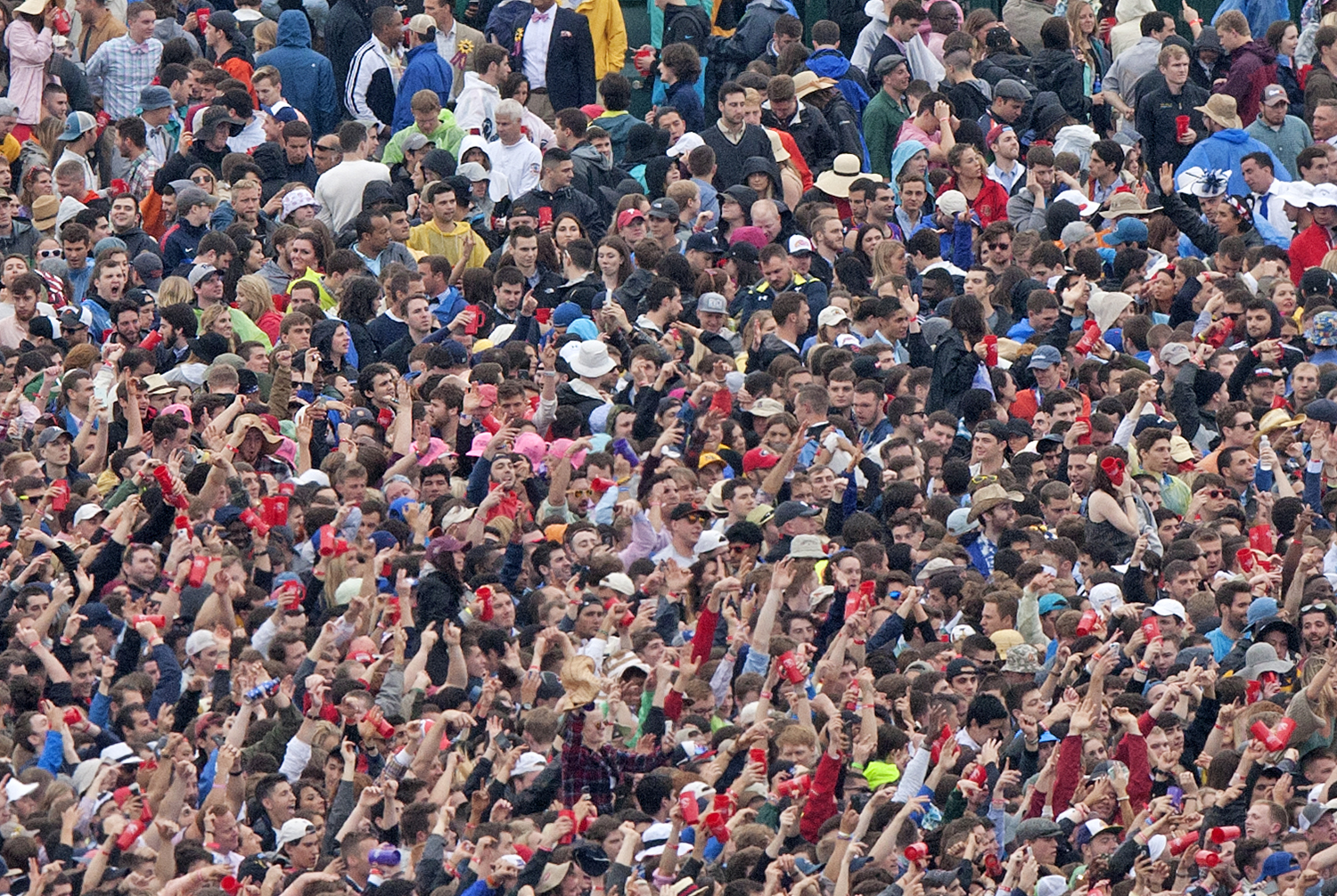 Preakness infield