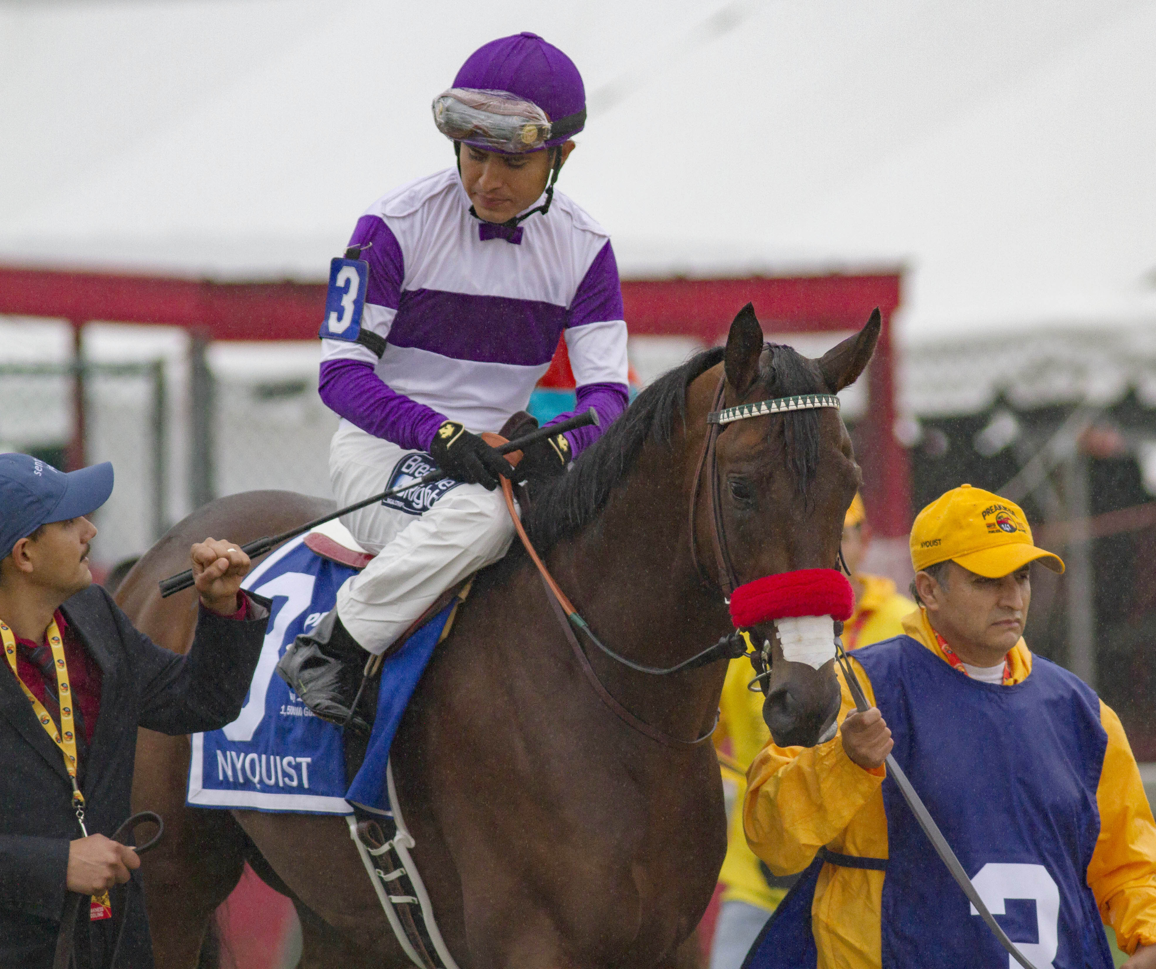 Nyquist at the Preakness