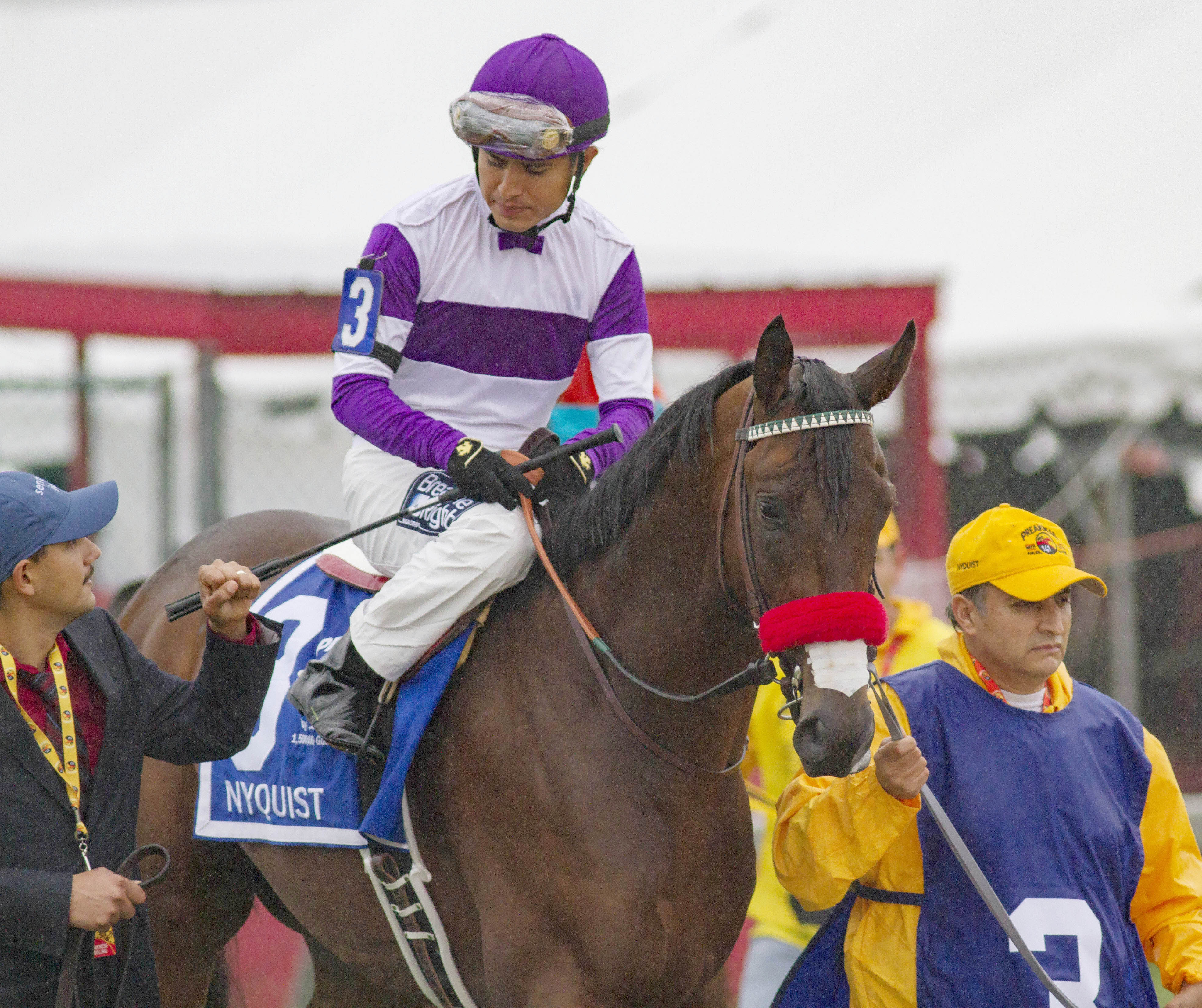 Nyquist at the Preakness
