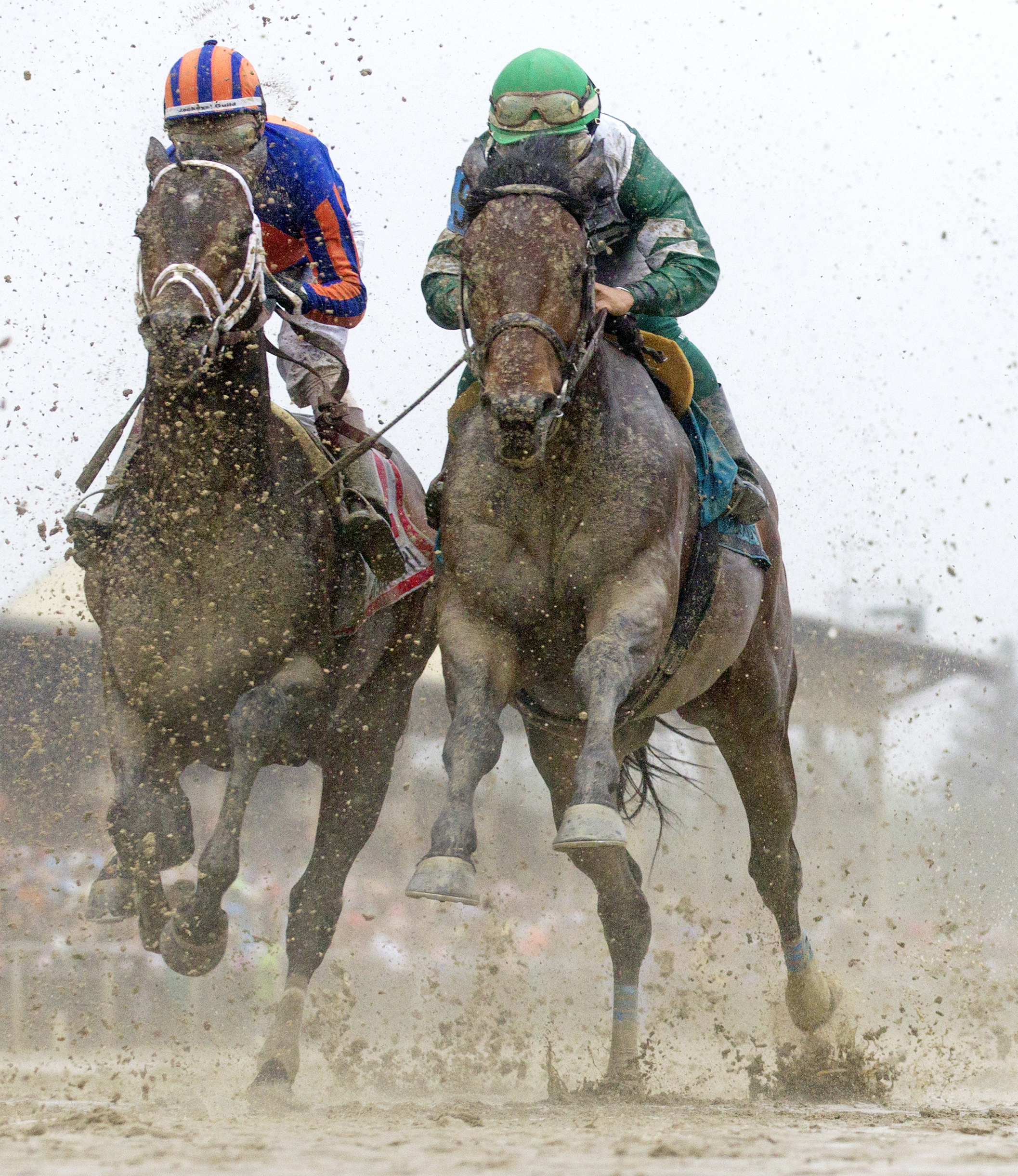 Stradivari and Abiding Star in the Preakness