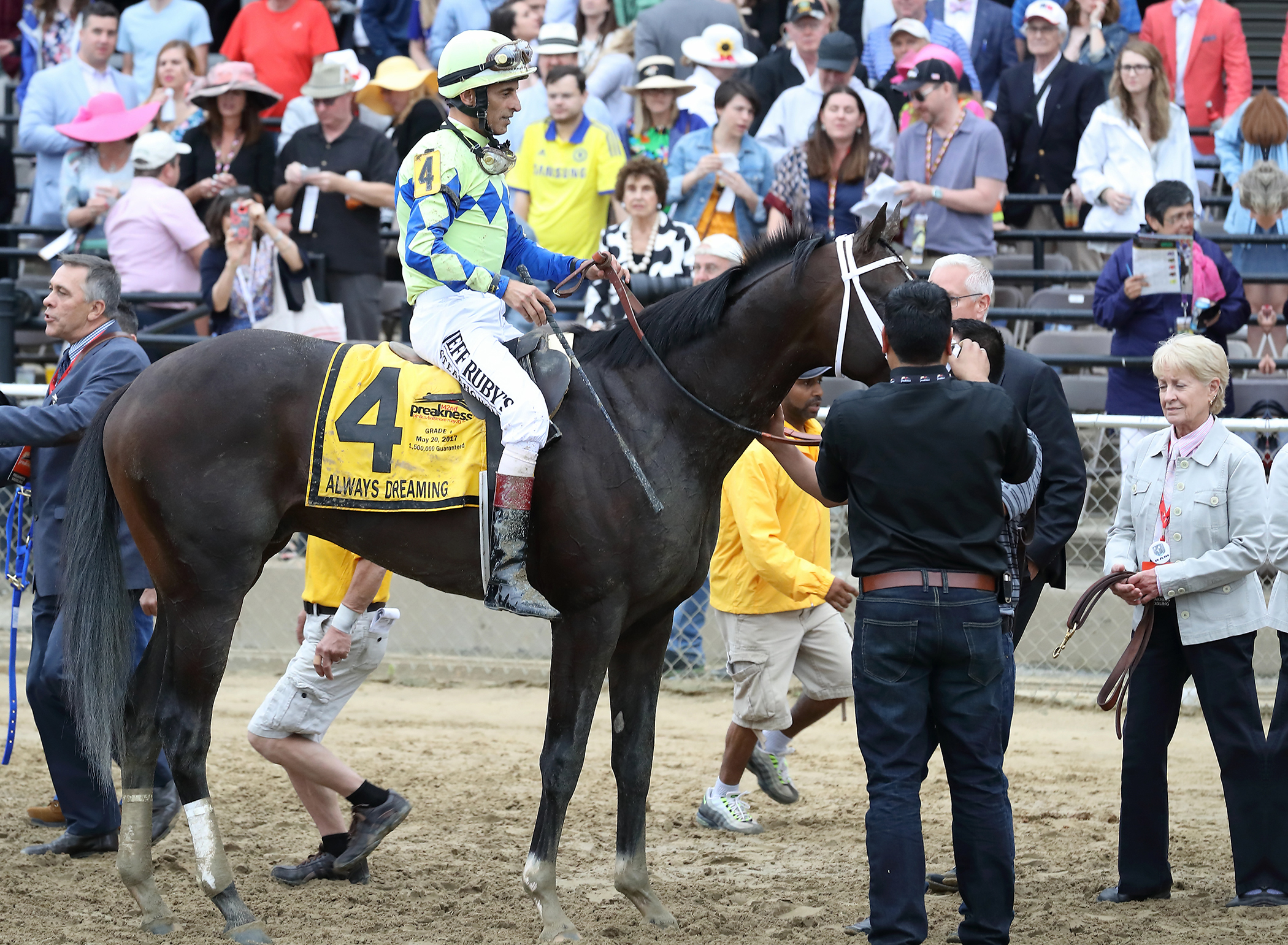 Always Dreaming after the Preakness