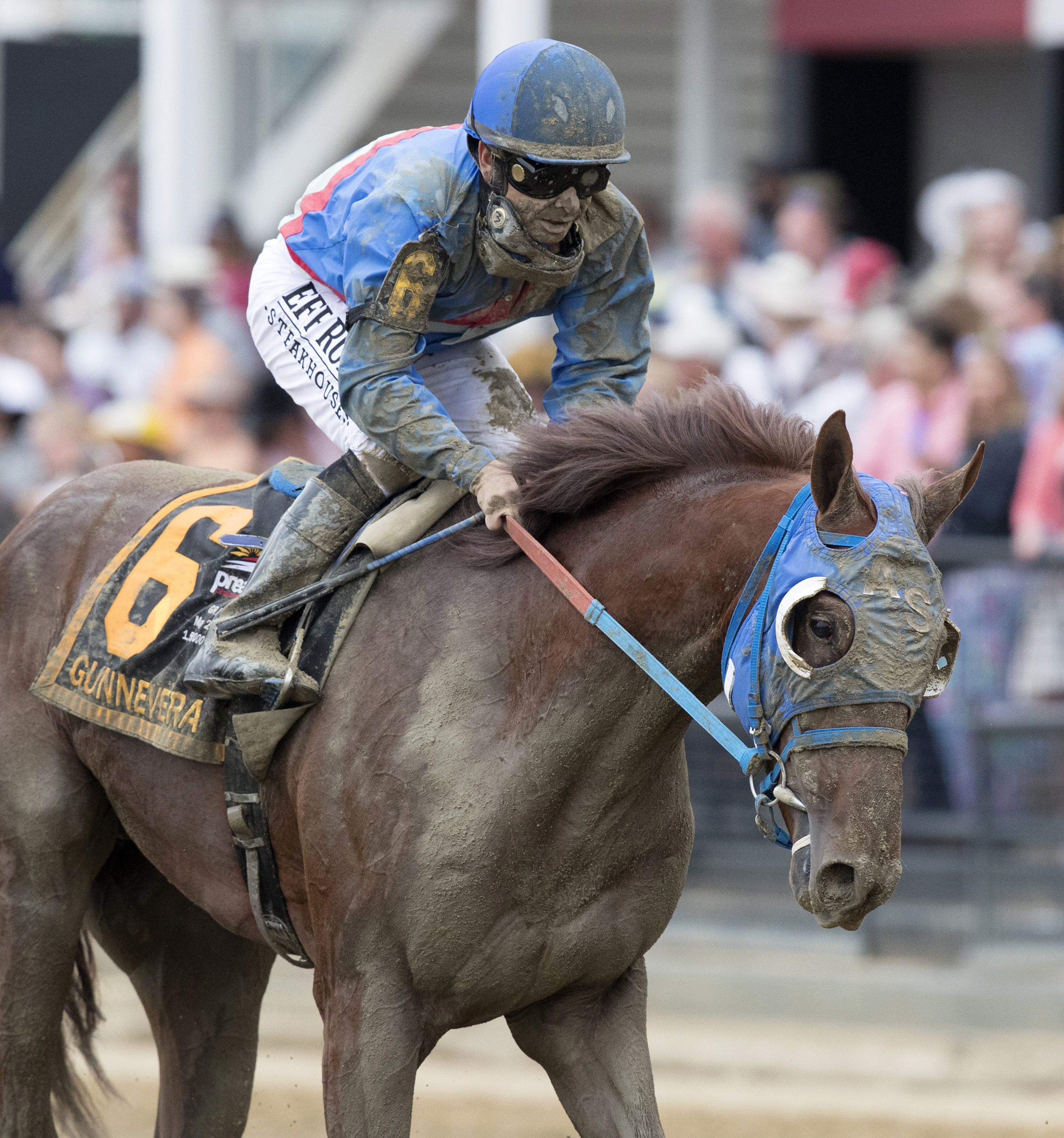 Gunnevera finishes fifth in the Preakness