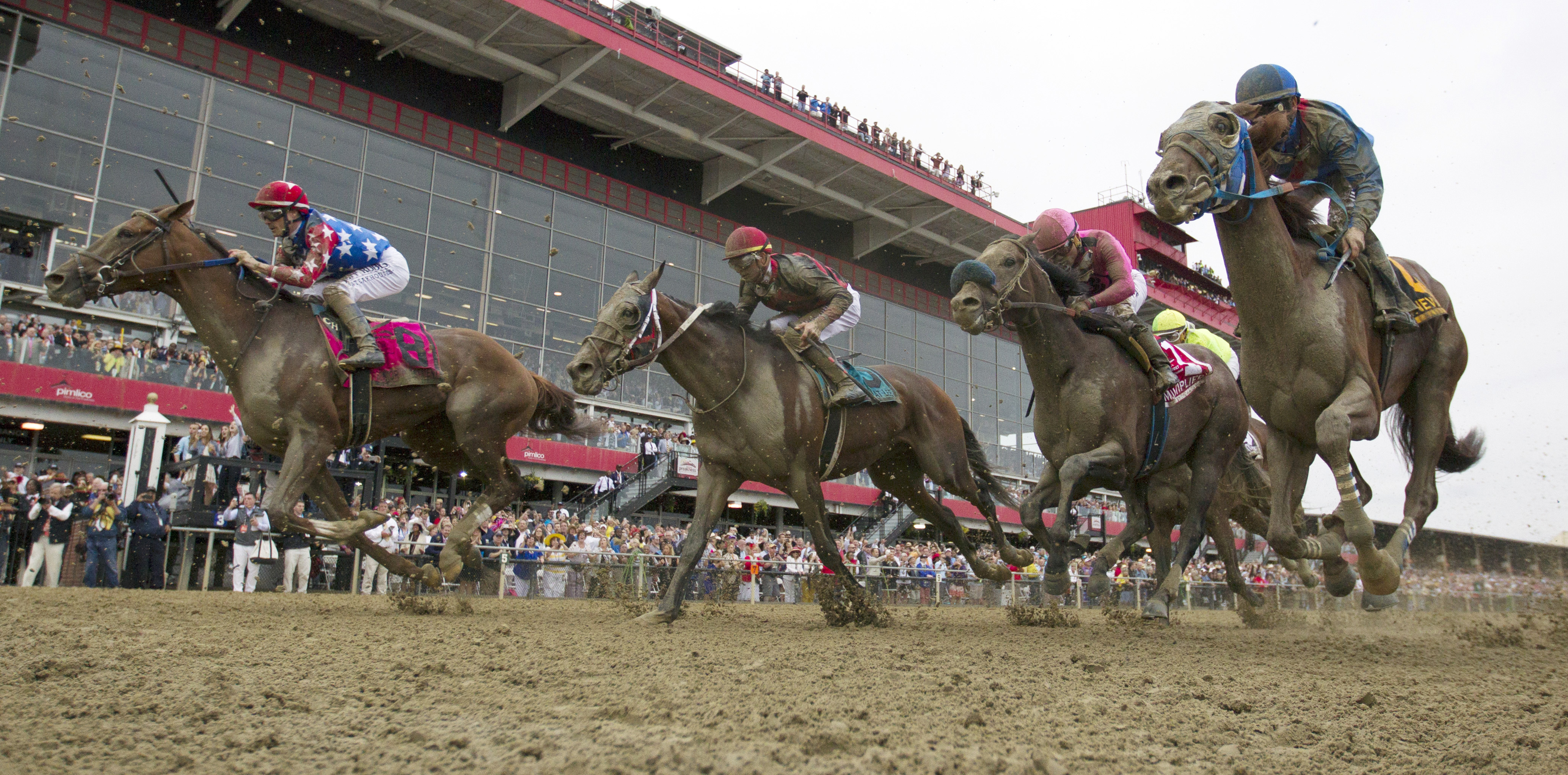 Senior Investment finishes third in the Preakness