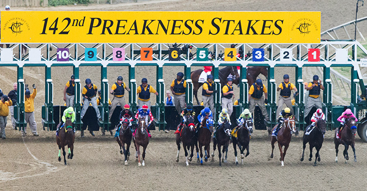Preakness Stakes starting gate