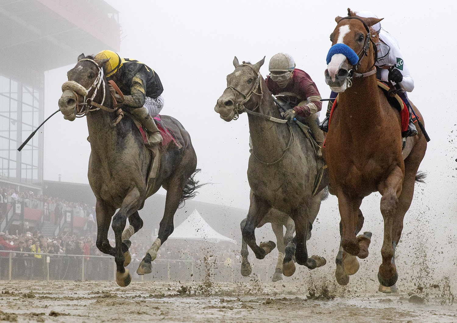 Justify wins the Preakness Stakes