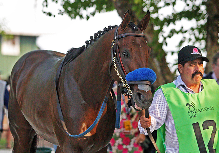 Anothertwistafate at the Preakness in 2019