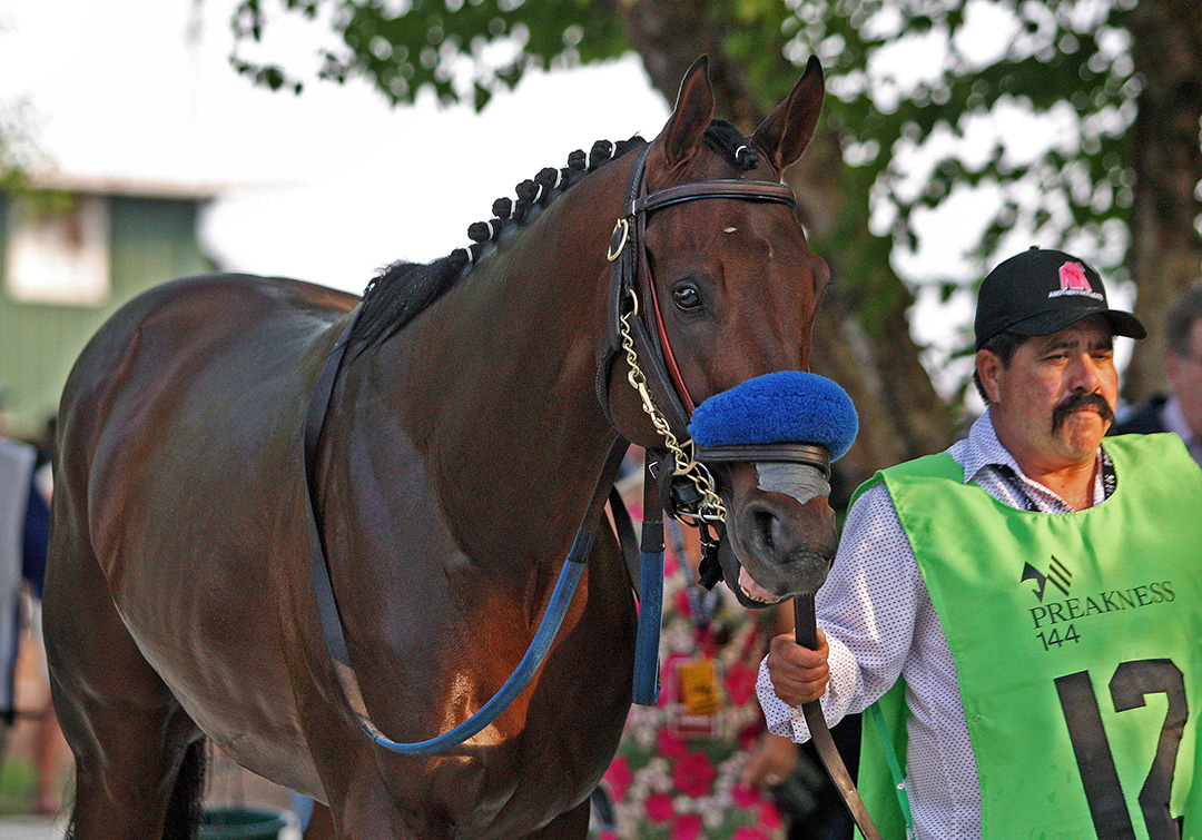 Anothertwistafate at the 2019 Preakness