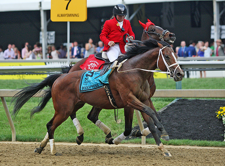 Outrider trying to catch Bodexpress in Preakness