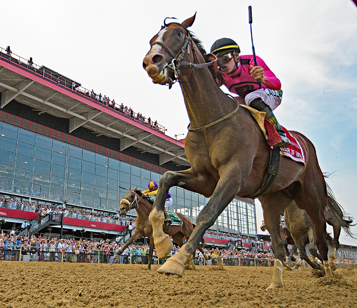 War of Will wins the 2019 Preakness