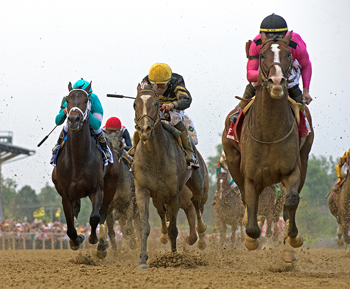 Everfast finishes second in the Preakness Stakes