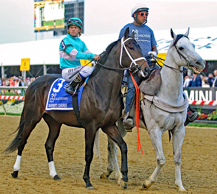 Warrior's Charge at the 2019 Preakness
