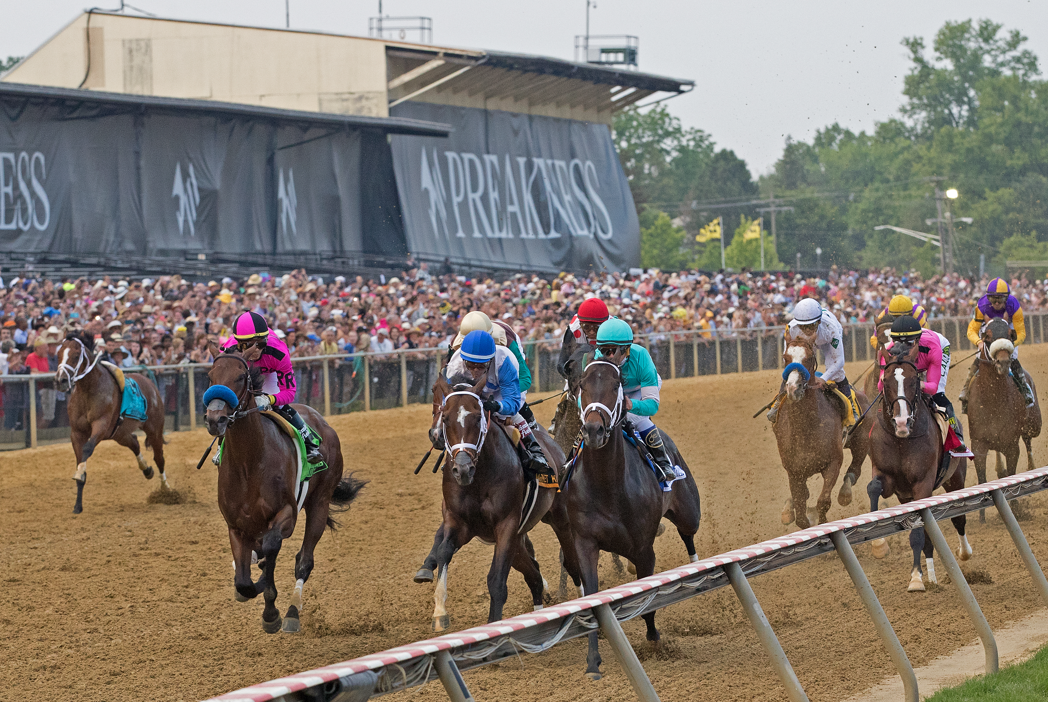 Handle on 2019 Preakness card sets new record