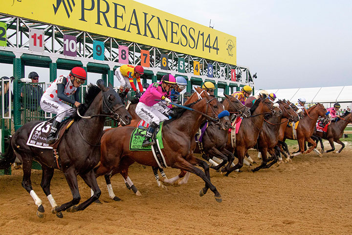 Start of 2019 Preakness at Pimlico Race Course