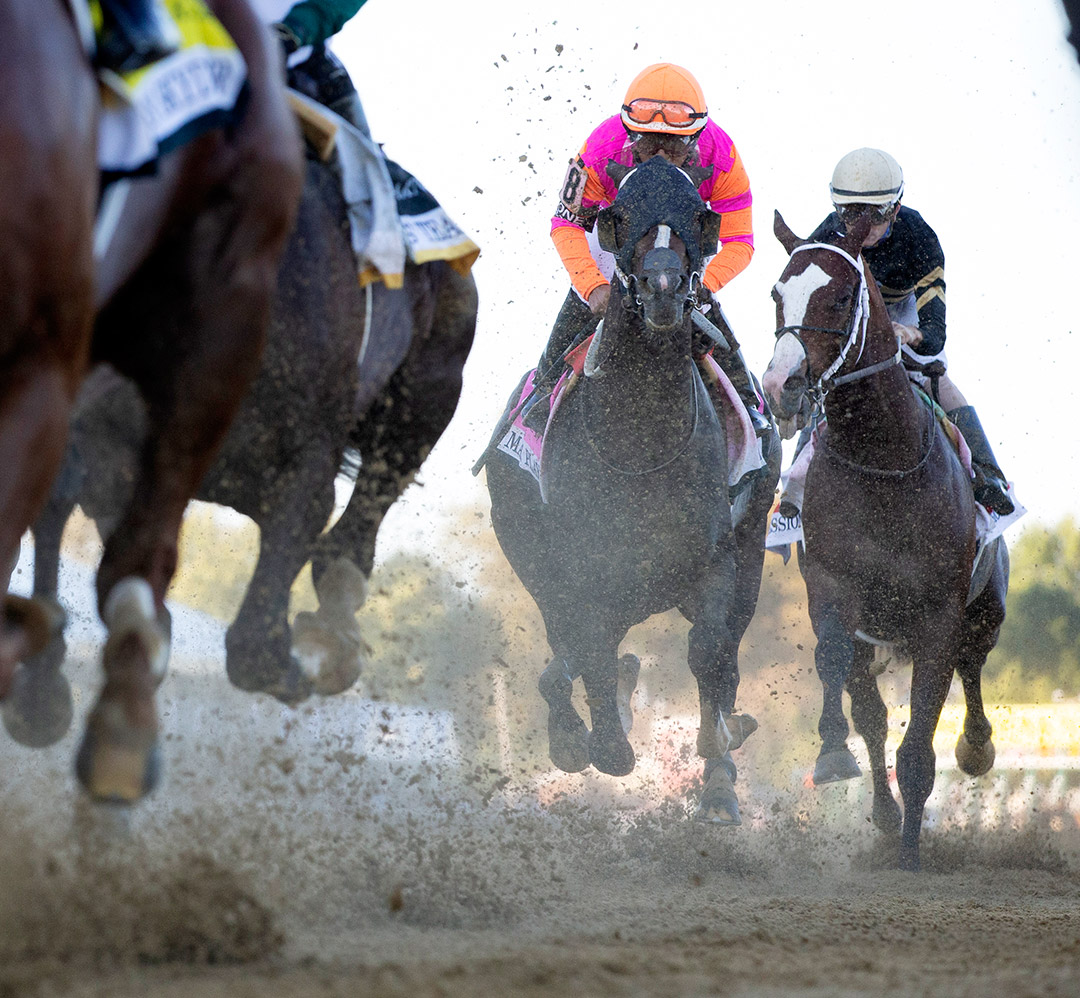 Max Player (center) finishes fifth in the 2020 Preakness Stakes