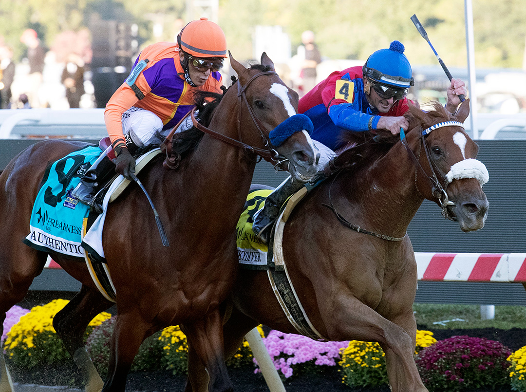 Swiss Skydiver/Preakness