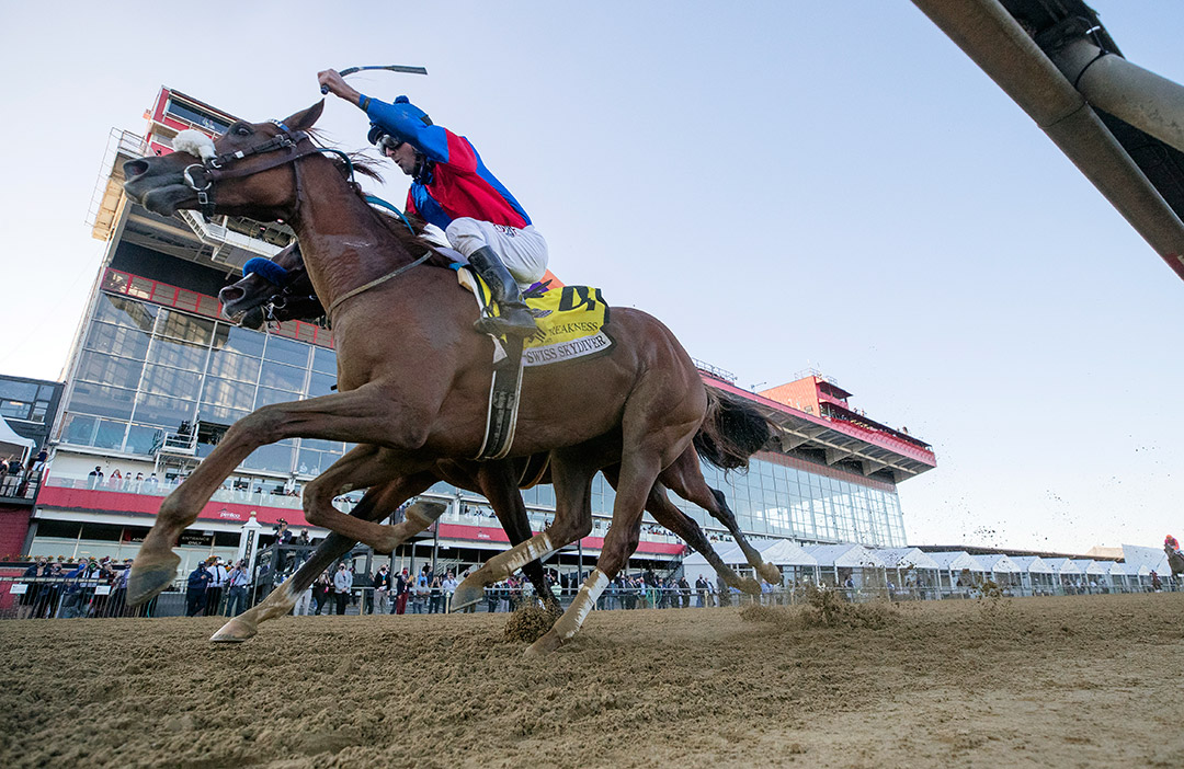 Swiss Skydiver wins the 2020 Preakness Stakes at Pimlico Race Course