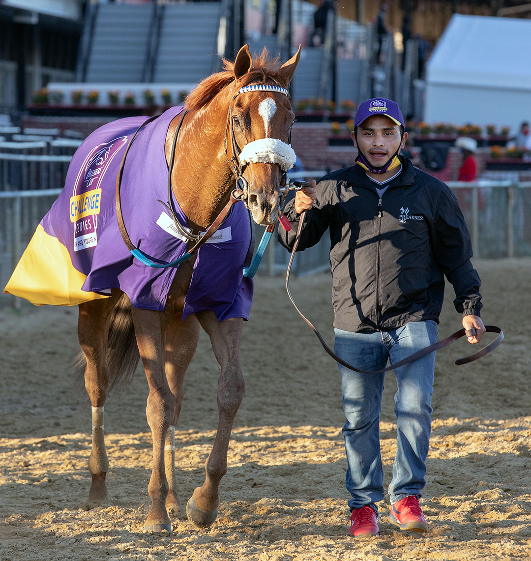 Swiss Skydiver after winning the Preakness Stakes at Pimlico