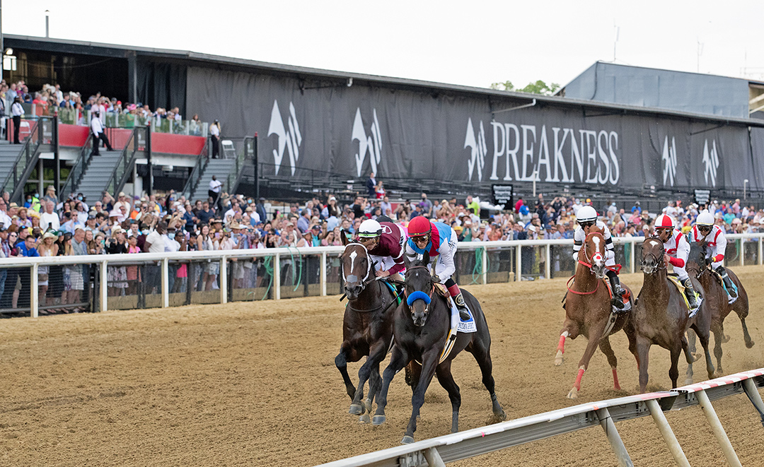Preakness field and crowd