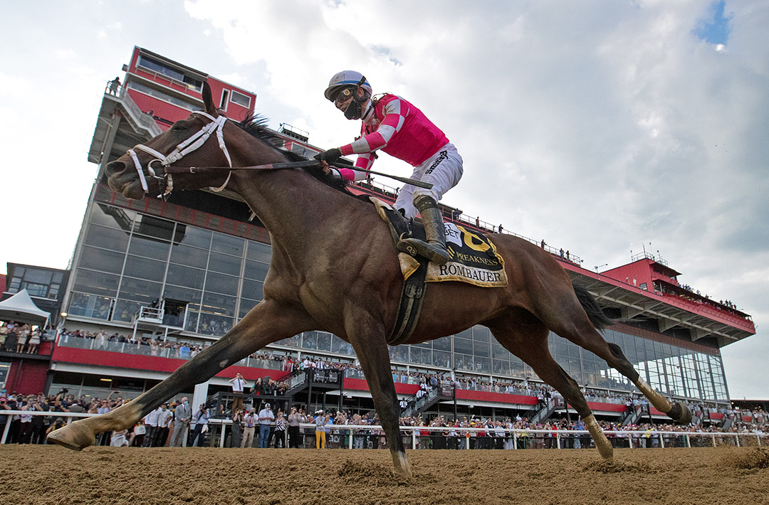 Rombauer wins the 2021 Preakness Stakes at Pimlico Race Course
