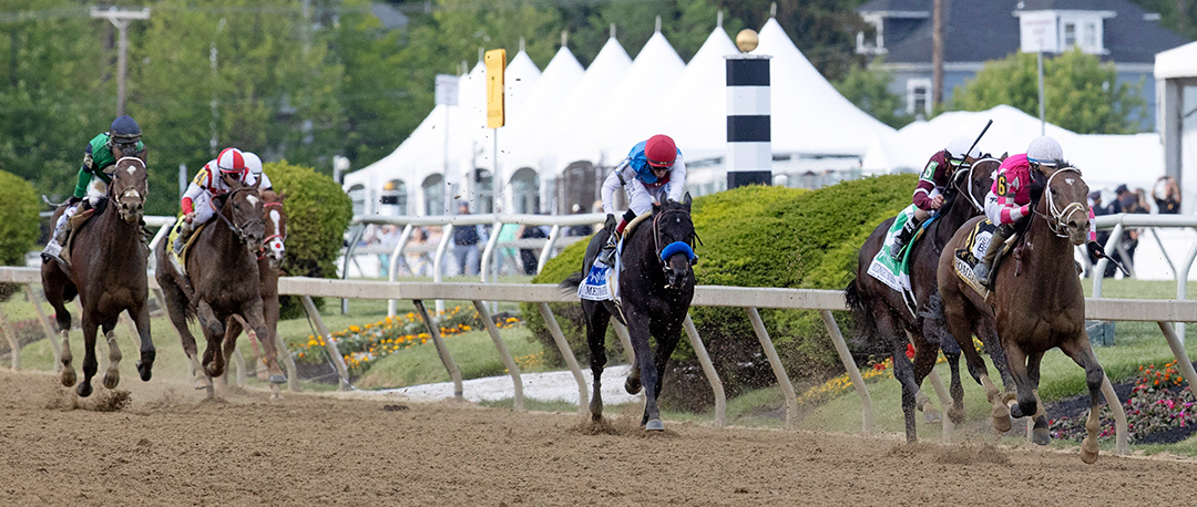 Rombauer leads the field down the stretch of the Preakness Stakes at Pimlico Race Course